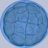 blastula